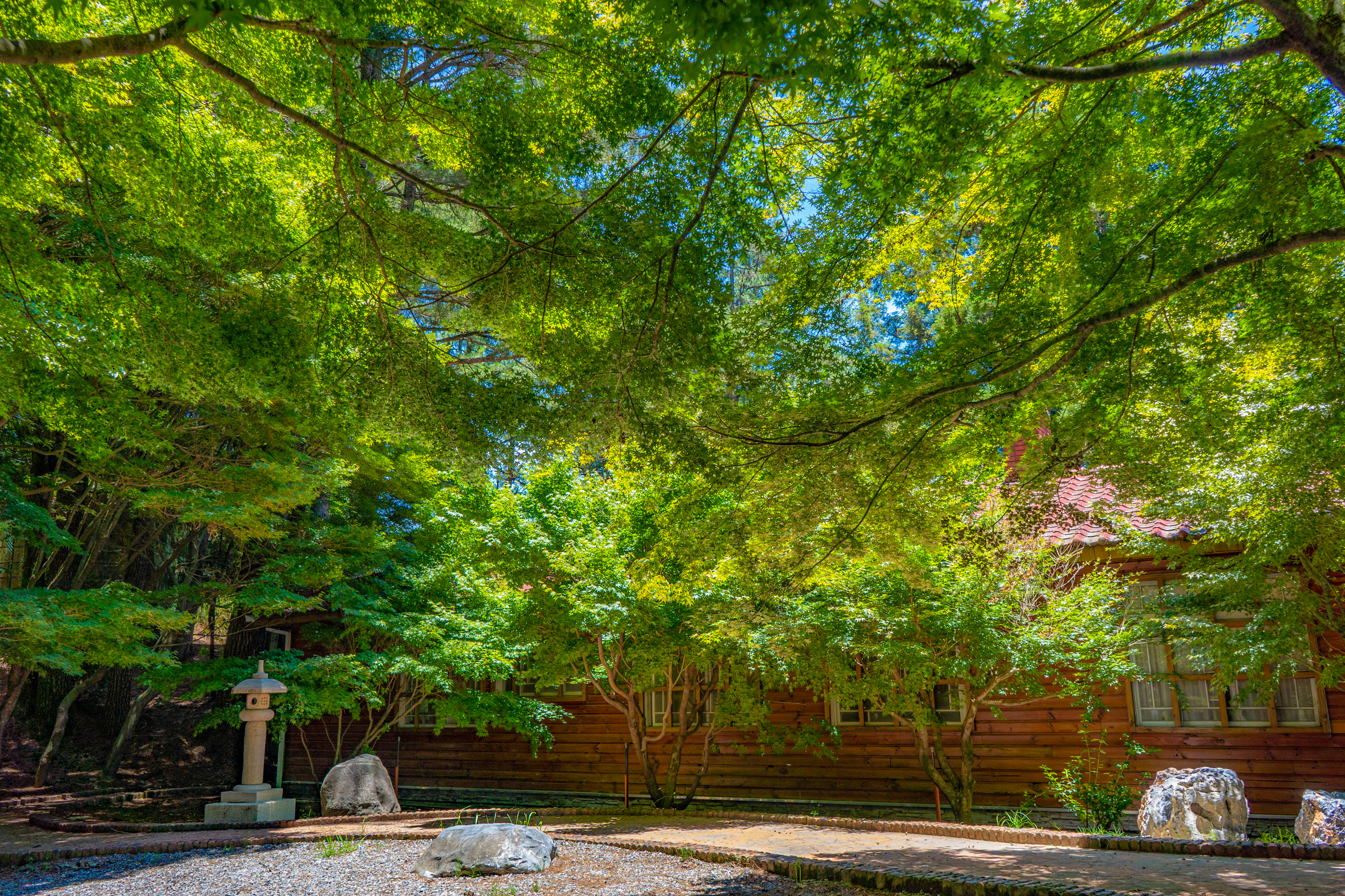 福壽山農場_07月_ (7).jpg